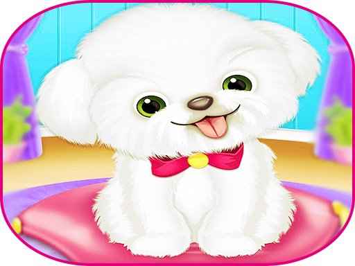 Play Pets Day Care Pro Game