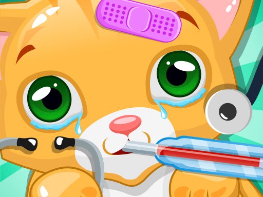 Play Little Cat Doctor Game