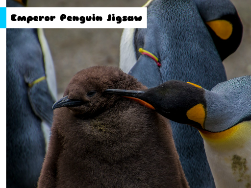 Play Emperor Penguin Jigsaw Game