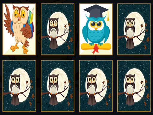 Play Cute Owl Memory Game