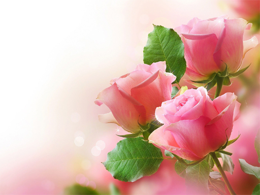 Play Pink Roses Puzzle Game