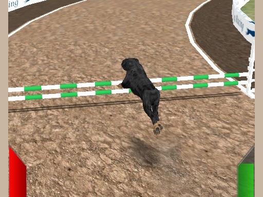 Play Crazy Real Dog Race Game