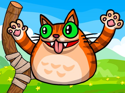 Play Angry Cat Shot Game