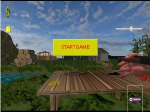 Play West Shooter Game