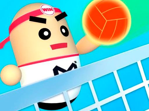 Play 3D Amazing VolleyBall Game