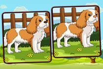 Play Dogs: Spot The Differences Game