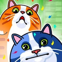 Play Cat Sorter Puzzle Game